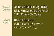 Regus Display - 90's Serif Family, a Serif Font by Holyline Design (Thumbnail 12 of 15)