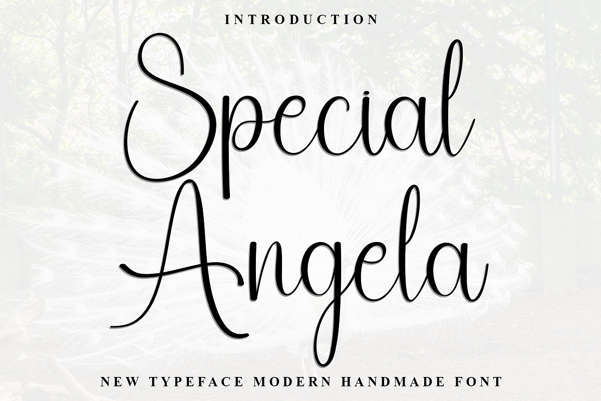 Special Angela, a Handwritten Font by FreshTypeINK (Photo 1 of 8)