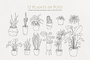 House Plants. Vector illustrations, a Decorative Illustration by iri-illustration (Thumbnail 4 of 9)