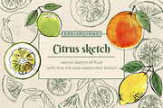 Citrus sketch. Oranges and lemons, a Food Illustration by irina.vaneeva (Thumbnail 1 of 11)