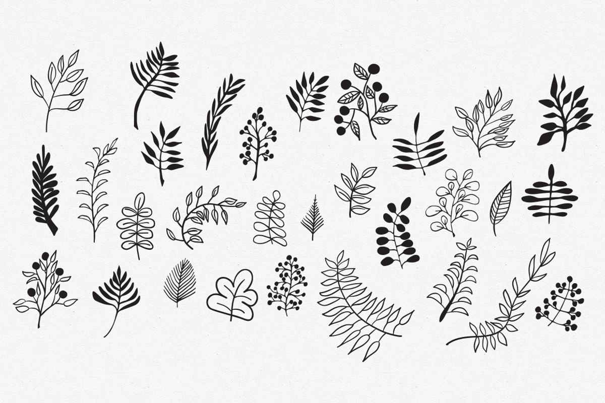 Hand Drawn Vector Leaves & Branches, an Illustration by Hello Brio (Photo 2 of 5)
