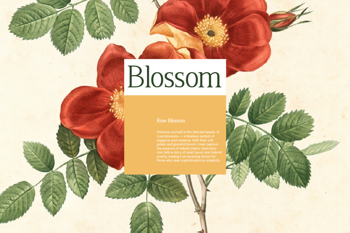 Freglia Bloom Elegant Serif Font, a Serif Font by Vadovastd (Photo 3 of 7)