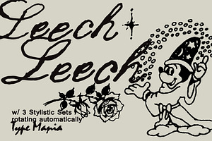 Leech TM – Romantic Script, a Script Font by Type Mania