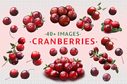 Cranberries—46 images, an Object Graphic by Hortimages (Thumbnail 1 of 8)