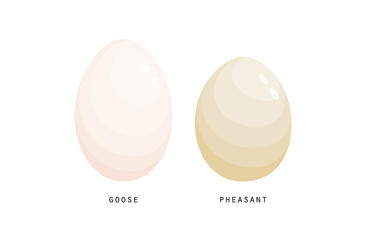 Different birds egg set, a Food Illustration by Good Studio (Photo 5 of 5)