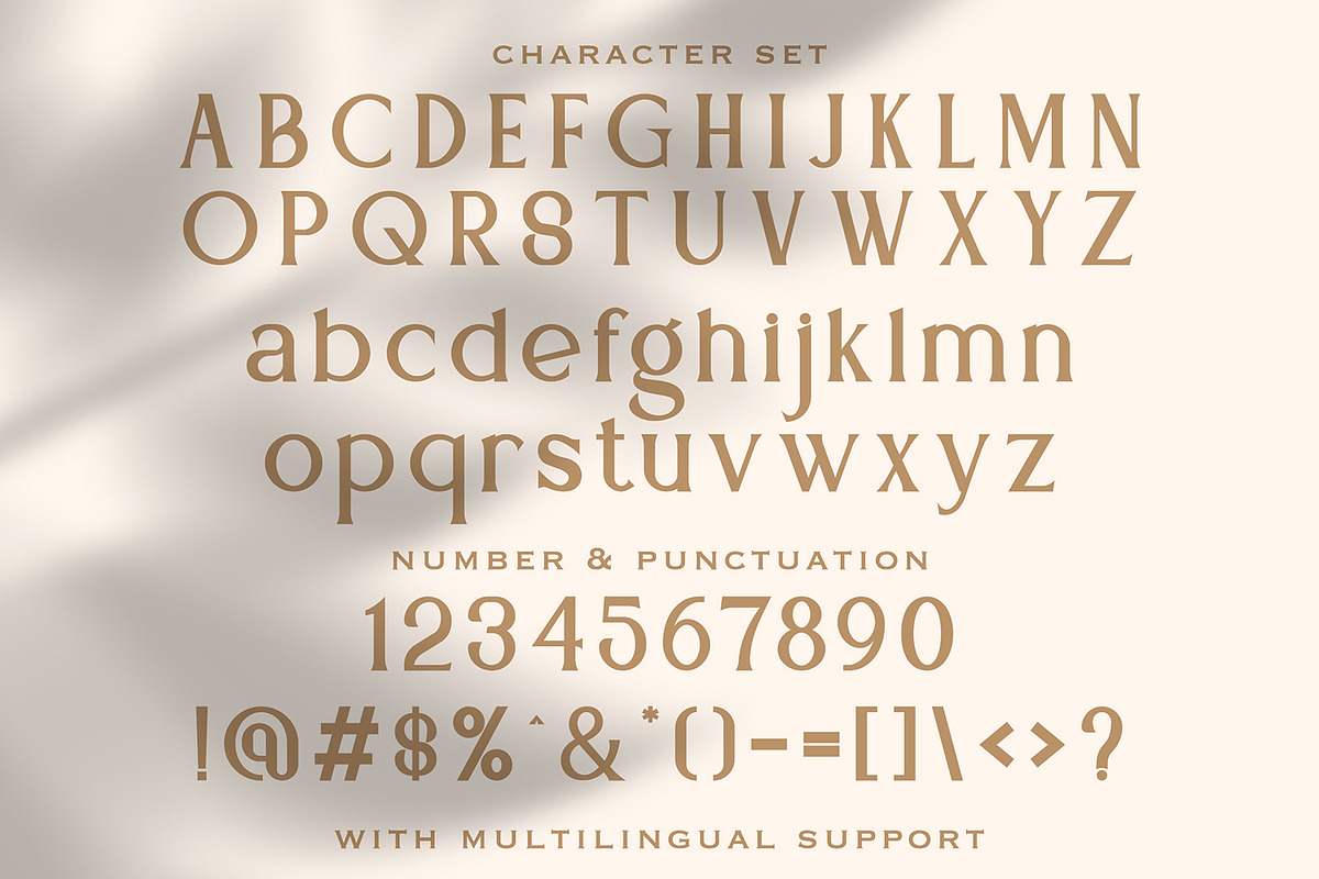 Mediqa - Classic Serif Font, a Serif Font by StringLabs (Photo 8 of 8)