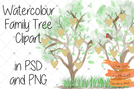 Family Tree clipart, Watercolour,