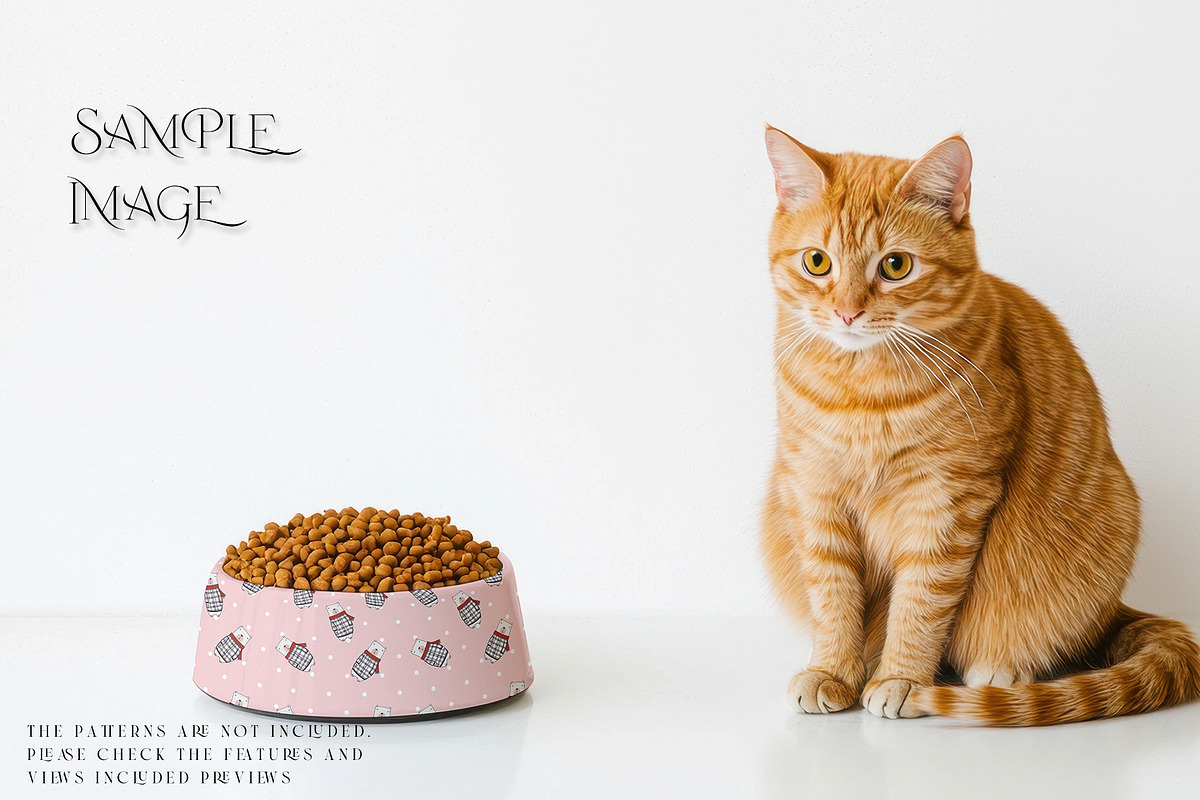 Pet Bowls PNG & PSD Mockups, a Product Mockup by mock-ups (Photo 11 of 12)