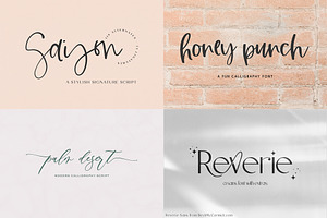 The Logo And Branding Font Bundle