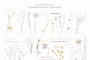 Pressed Flowers & Brush Strokes Png, an Object Graphic by by creative paper (Thumbnail 14 of 17)