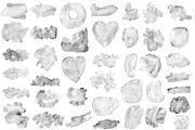Brushes Bundle for Photoshop., a Brush Add-On by TaPilipa (Thumbnail 11 of 33)