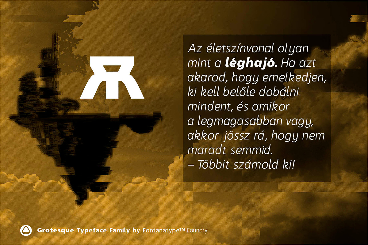 Crave Neue, a Sans Serif Font by Fontanatype (Photo 16 of 16)