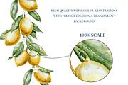 Lemon Watercolor Clipart Set, a Food Illustration by Alisles (Thumbnail 10 of 11)