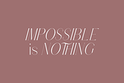 Stolen Love - Elegant serif typeface, a Serif Font by VP Fonts (Thumbnail 4 of 34)