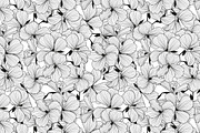 12 Floral Seamless Patterns Set, a Pattern Graphic by Sunset&Sea Design (Thumbnail 3 of 4)