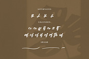Whicleena, a Handwritten Font by Goresan Studio (Thumbnail 12 of 15)