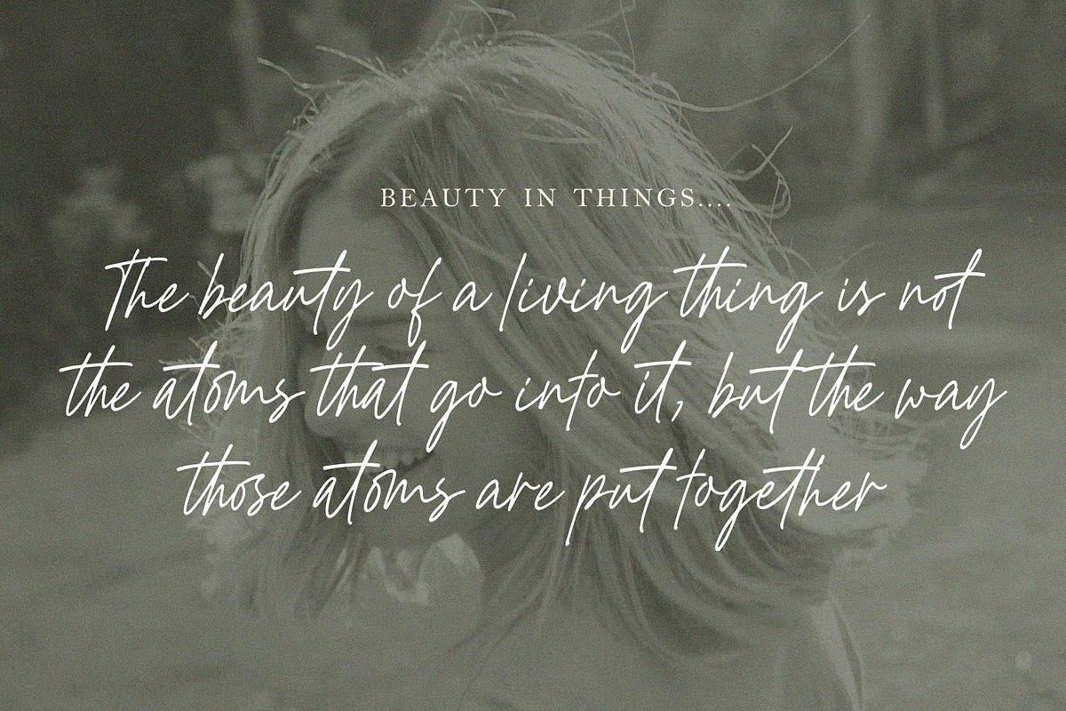 Ditaleni - An Elegant Signature Font, a Script Font by Subectype Studio (Photo 4 of 9)