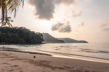 Beach and palm trees in the morning on the island, a Nature Photo by Art Rachen