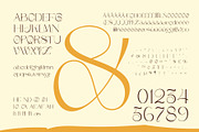 The Calonue Classic & Elegant Font, a Serif Font by AuthenType (Thumbnail 4 of 6)