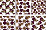 Hand drawn passion fruits, a Food Illustration by Elena Mykhailenko (Thumbnail 8 of 8)