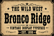 Bronco Ridge, a Slab Serif Font by Wow Magic (Thumbnail 4 of 6)