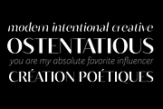 Blacker Sans - 60 + 3 variable fonts, a Sans Serif Font by Zetafonts (Thumbnail 6 of 15)