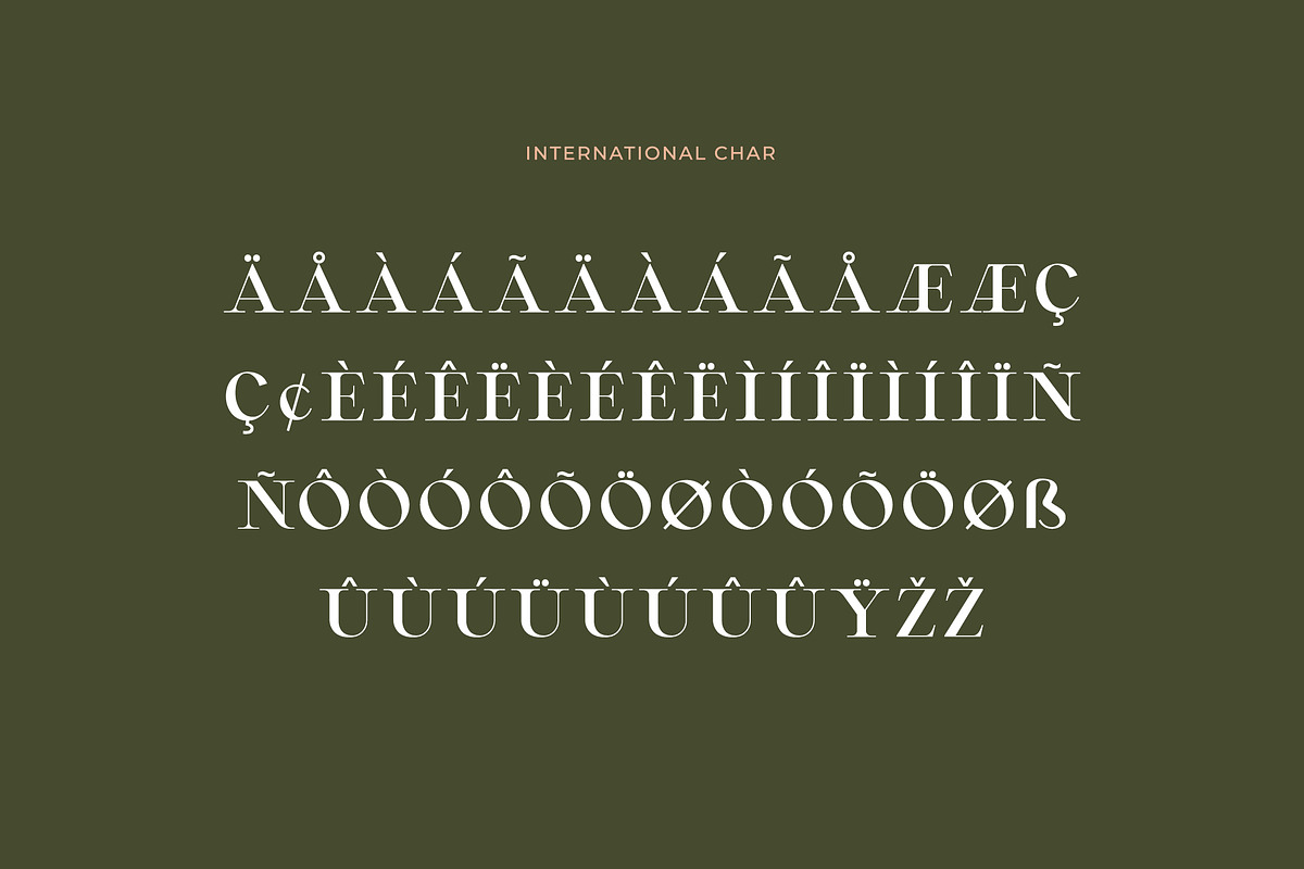 Montvolca Elegant Serif Font, a Serif Font by UICreative (Photo 6 of 11)