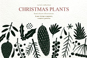 Christmas Plants Vector Collection, a Decorative Illustration by Lubov Illustrations Shop (Thumbnail 1 of 6)