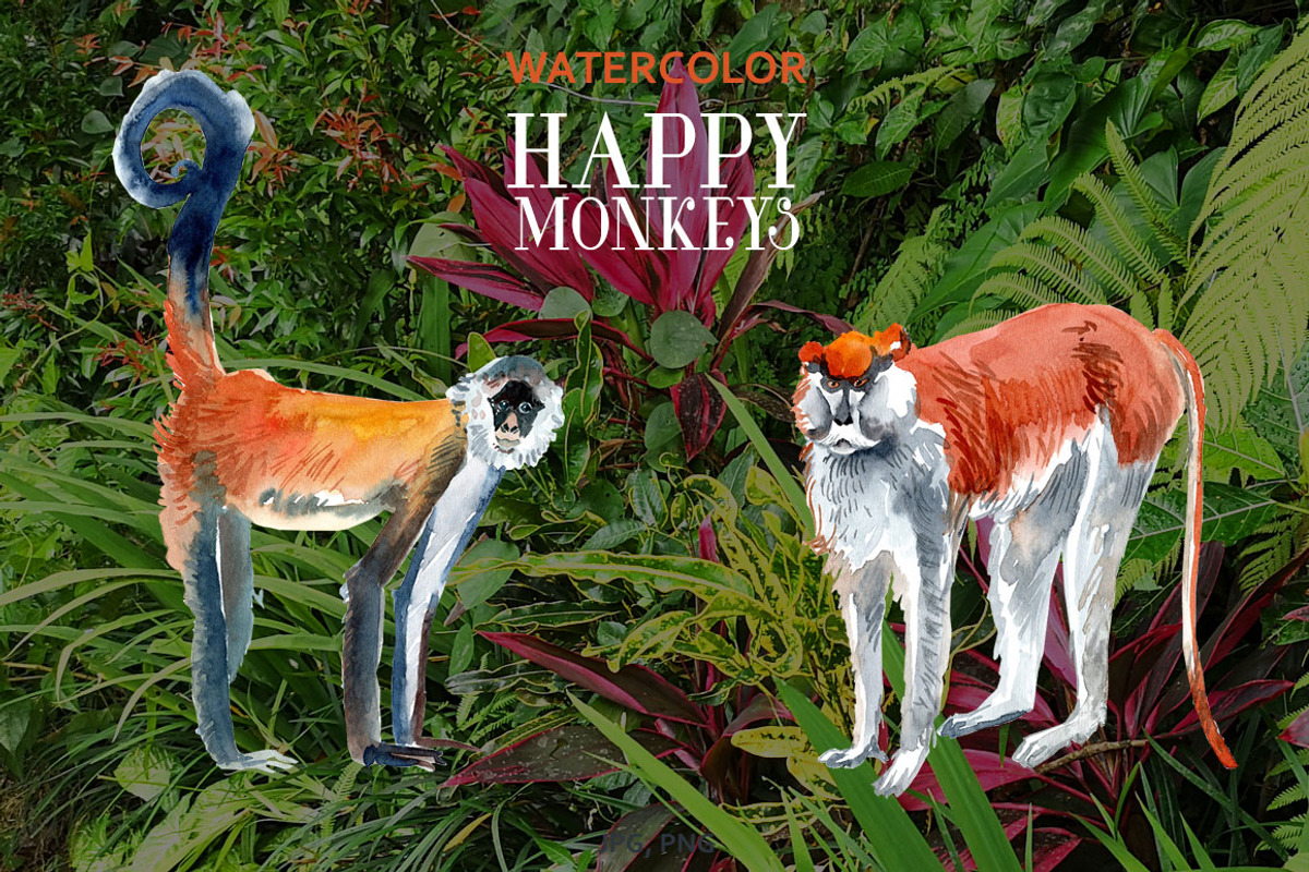 Watercolor Happy Monkeys, an Animal Illustration by Anastasia (Photo 2 of 13)