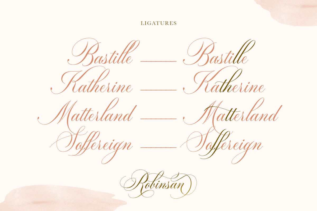Robinsan - Premium Calligraphy, a Script Font by Silverdav (Photo 4 of 16)