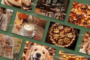 140 Autumn Aesthetic Stock Photos, a Holiday Photo by Incomelion (Thumbnail 4 of 6)