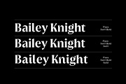 Griggs Flare Serif, a Serif Font by Seniors (Thumbnail 7 of 8)