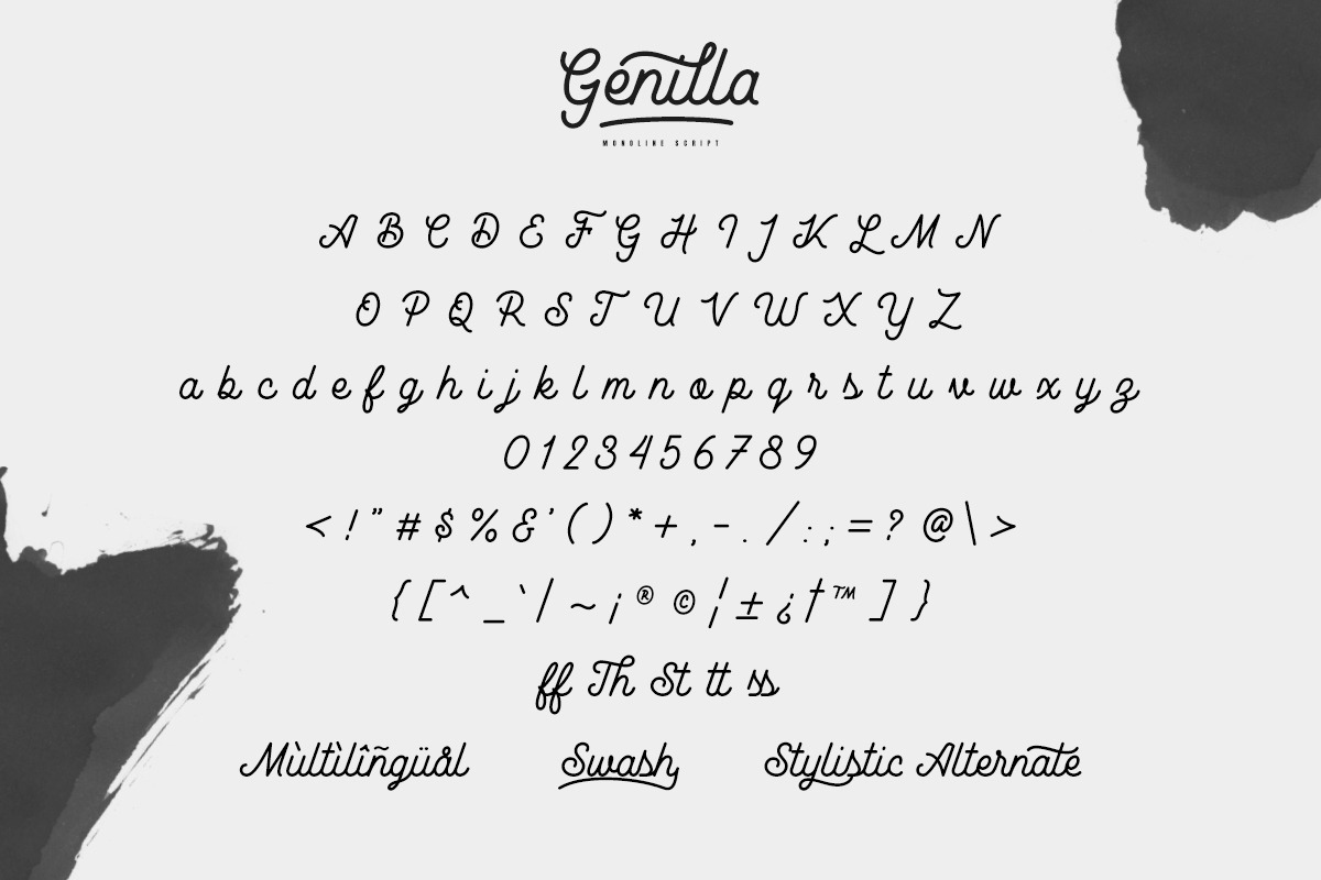 Genilla Monoline Script preview 7