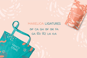 Marelica Font & Procreate Brushes