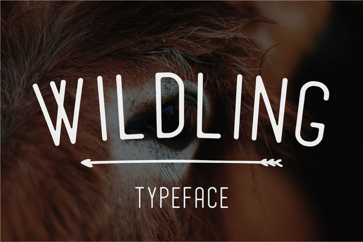 The Sans Serif Font Bundle - 90% Off, a Sans Serif Font by Surplus Type Co (Photo 16 of 16)