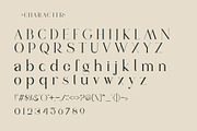 vindea Ligature Serif Typeface, a Serif Font by Humaira_std (Thumbnail 7 of 11)
