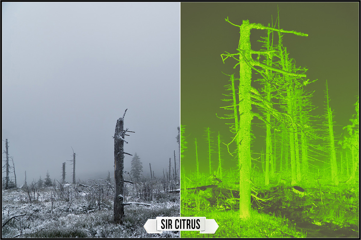Solarized IR Inspired profiles LUTs, a Plug-in Add-On by Raztrend (Photo 10 of 30)