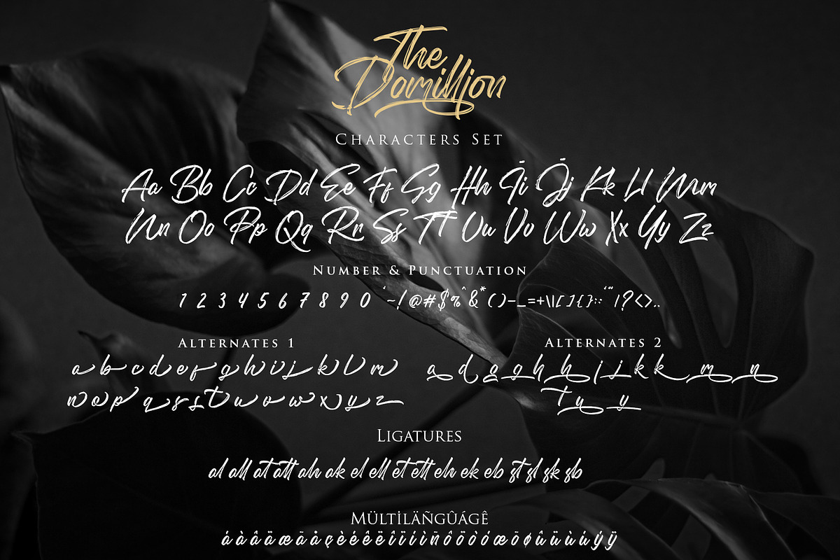 The Domillion Brush Font, a Script Font by Ardyanatypes (Photo 10 of 11)