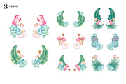 SALE! Palm Succulent Illustrations, an Illustration by Josty (Thumbnail 4 of 7)