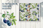 Blooming plum watercolor clipart, a Decorative Illustration by Eva Kleinman (Thumbnail 12 of 14)