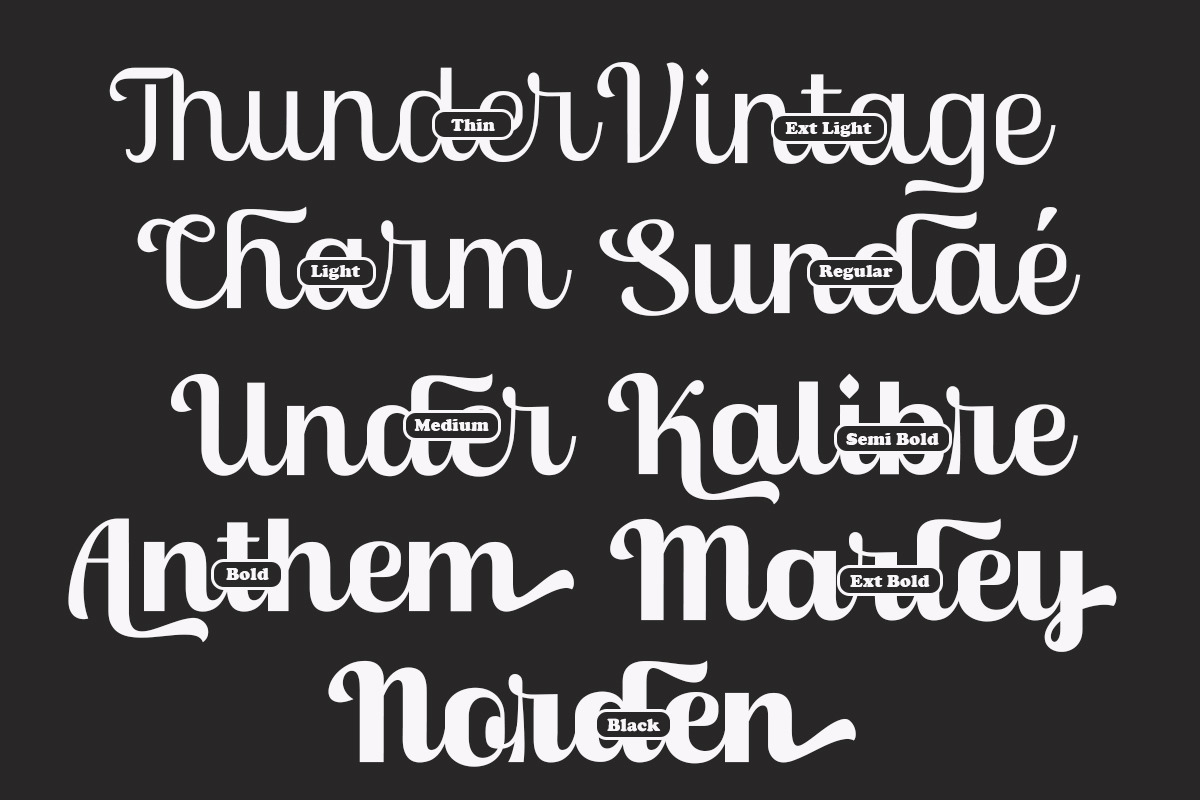 Skinno — A Variable Script Typeface, a Script Font by Skinny Type (Photo 7 of 10)