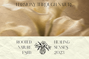 VELOURÉ — Elegance Luxury Serif, a Serif Font by ToniStudio (Thumbnail 8 of 13)