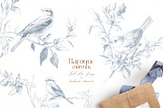 Baroque collection-Toile De Jouy, a Decorative Illustration by Pamyatka Shop (Thumbnail 10 of 14)