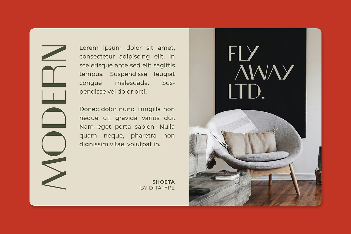 Shoeta, a Symbol Font by Ditatype (Photo 3 of 11)