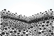 60 Daisy Flower Field Silhouette, a Seasonal Illustration by Amazin_art (Thumbnail 6 of 35)
