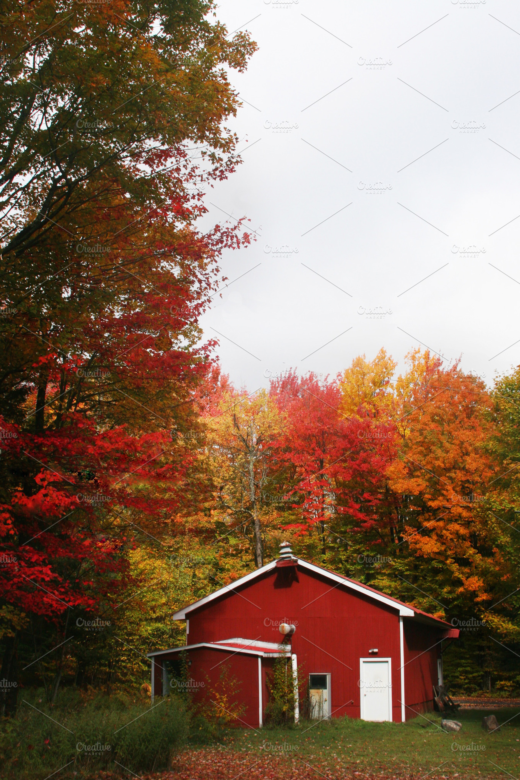 Red Barn in the Woods, a Nature Photo by Paper City Design