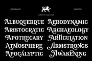 Castlewick - Old Tale Typeface, a Serif Font by Spencer & Sons Co. (Thumbnail 8 of 8)