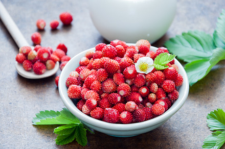 Wild strawberries containing berry, berry fruit, and breakfast
