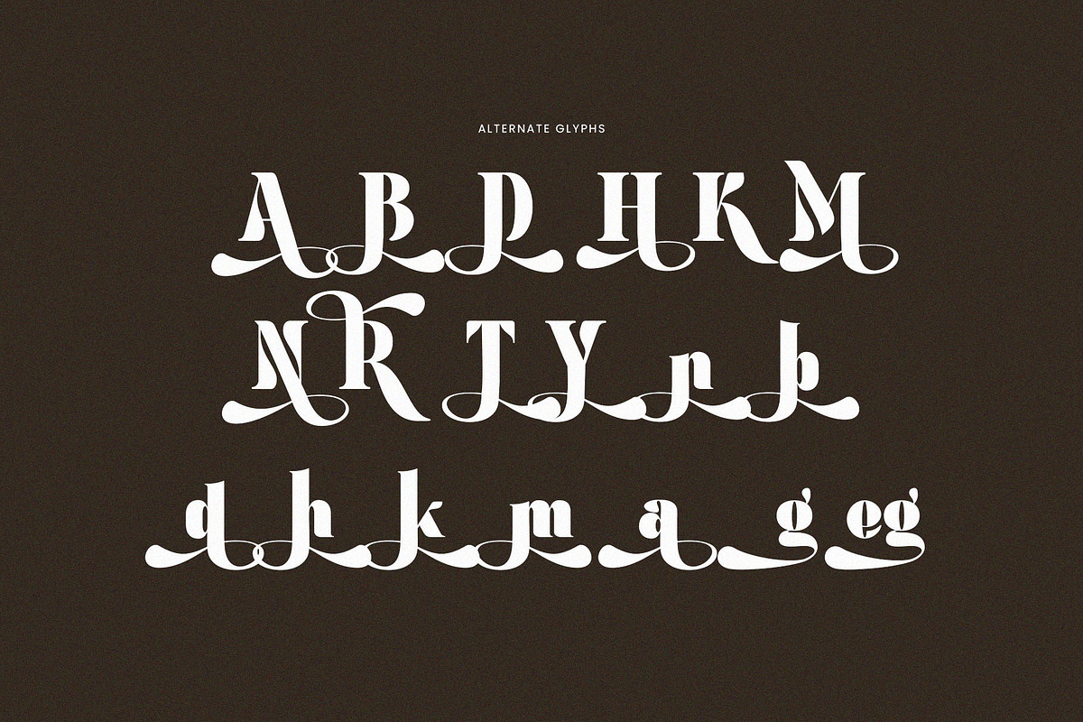 Megina Elegant Ligature Serif Font, a Serif Font by Perfectype (Photo 9 of 9)