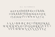 Diastema – Modern Ligature Typeface, a Serif Font by Issam Type (Thumbnail 11 of 14)